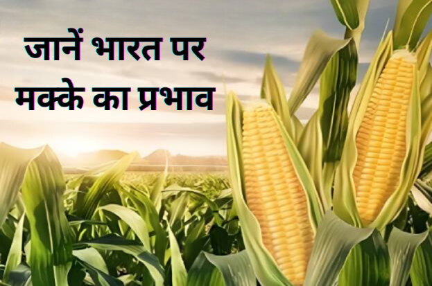 Unlocking India's Maize Potential with Nkosh:...