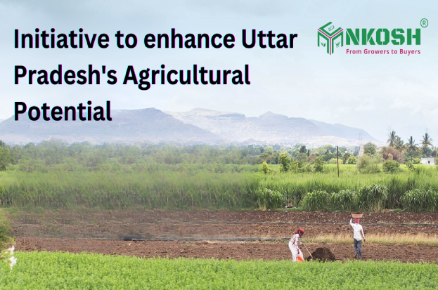 Nkosh Initiative to enhance Uttar Pradesh's A...