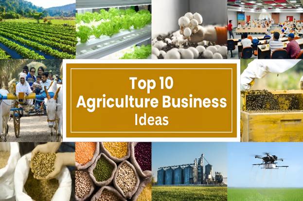 Top 10 Profitable Agricultural Business Ideas...