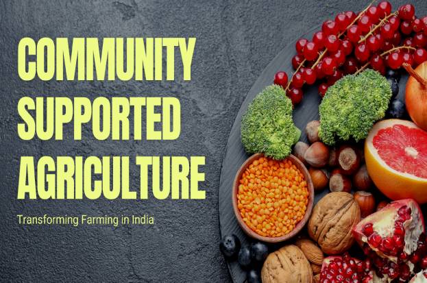 Community Supported Agriculture (CSA): Transf...