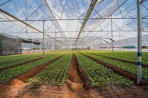 AgriTech