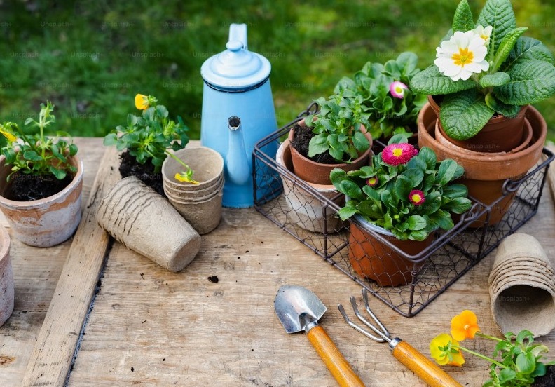 घर पर खेती (Home Gardening): अपनी जगह पर उगाए...