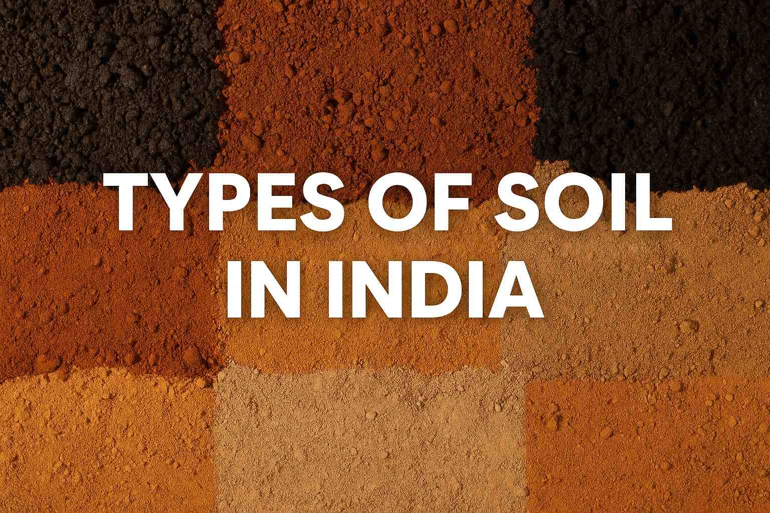  Types of Soil in India – Characteristics, Cr...