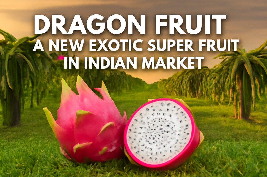 Dragon Fruit in India – Cultivation, Cost, Pr...