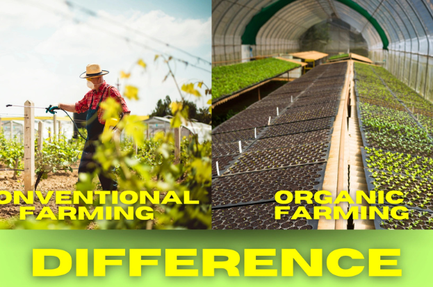 Difference Between Modern and Traditional Agr...